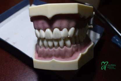 Dientes para Frassaco Set 32 pcs con tornillos