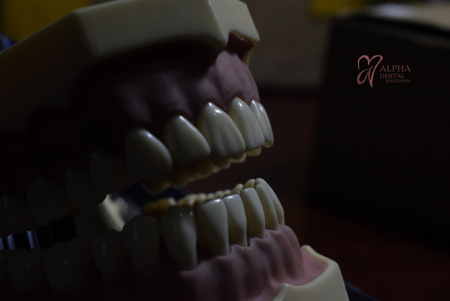 Dientes para Frassaco Set 32 pcs con tornillos