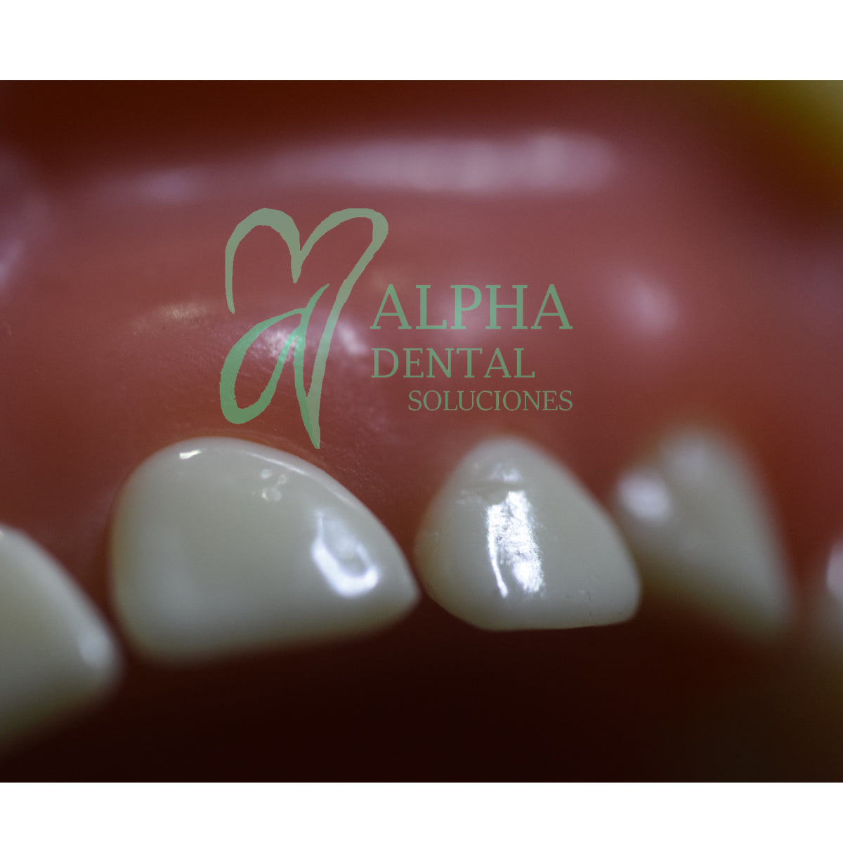 Dientes para Tipodonto Nissiin Infantil set T24