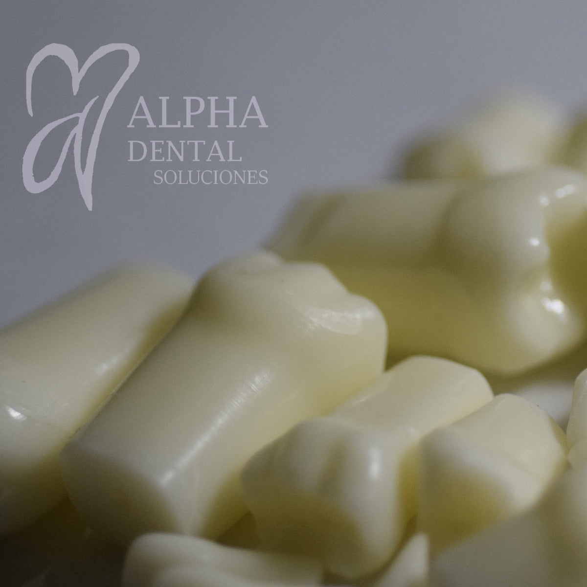 Dientes para Tipodonto Nissiin Infantil set T24