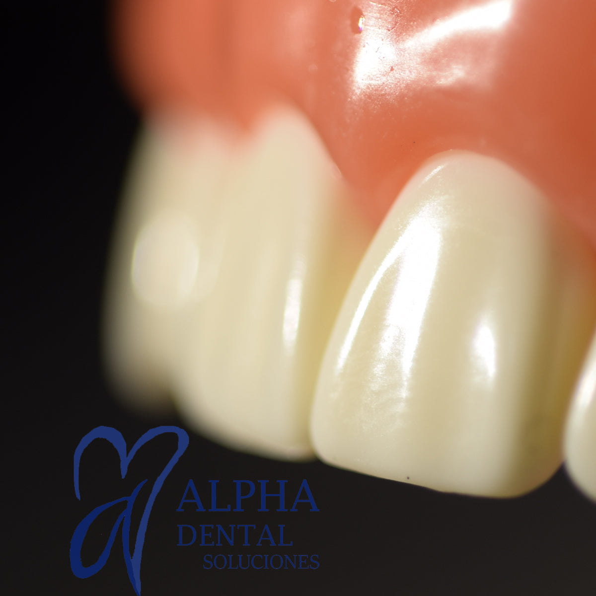 Dientes para Nissiin Set 32 pcs con tornillos