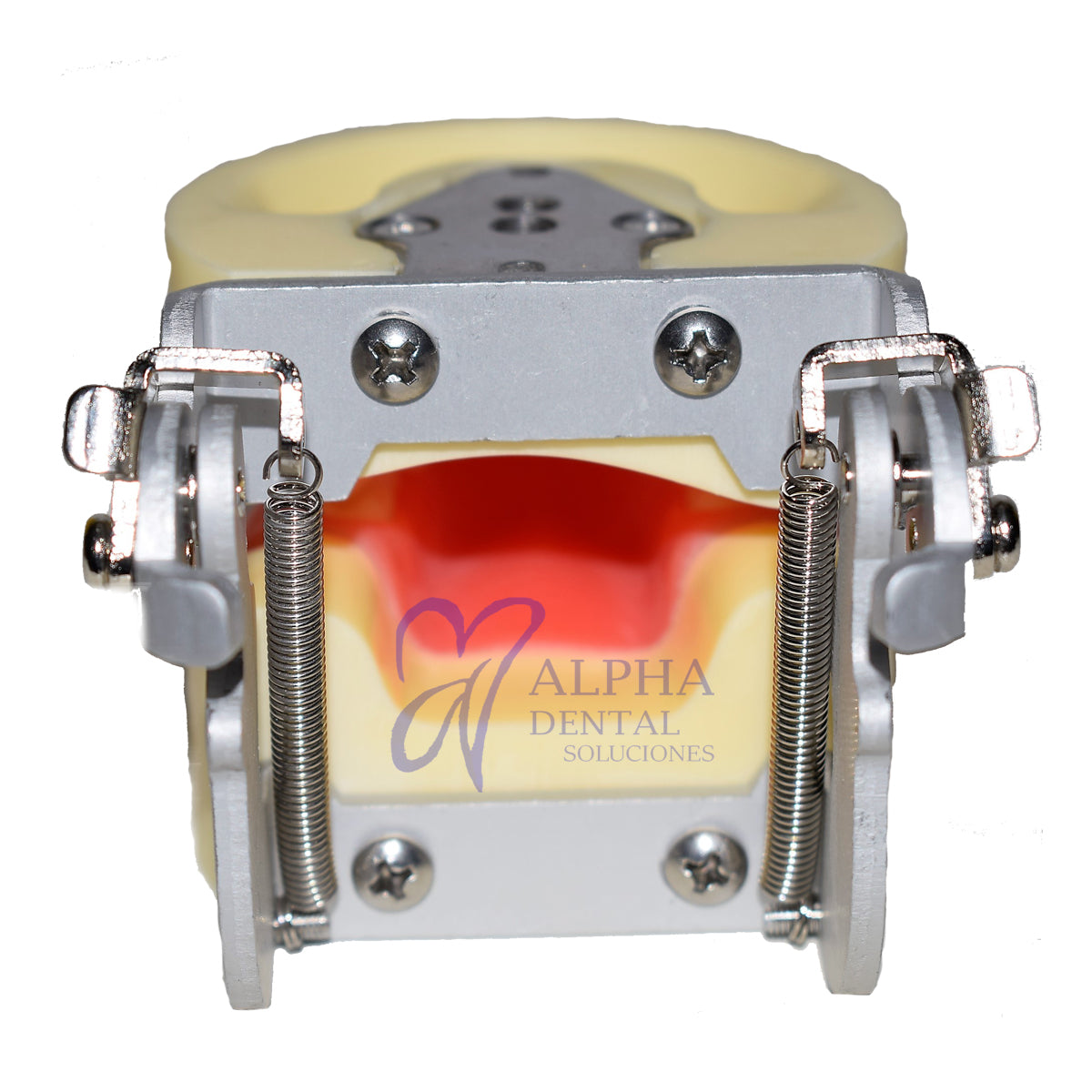 Tipodonto T24 Tipo Nissiin Infantil