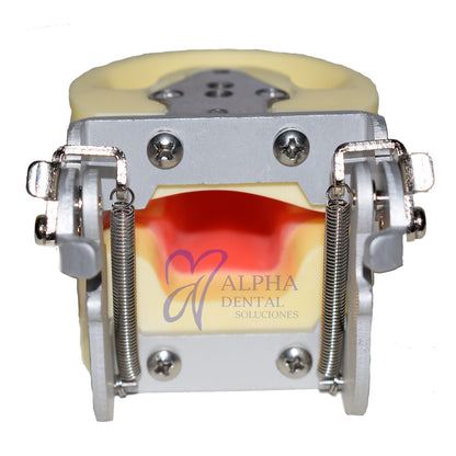 Tipodonto T24 Tipo Nissiin Infantil