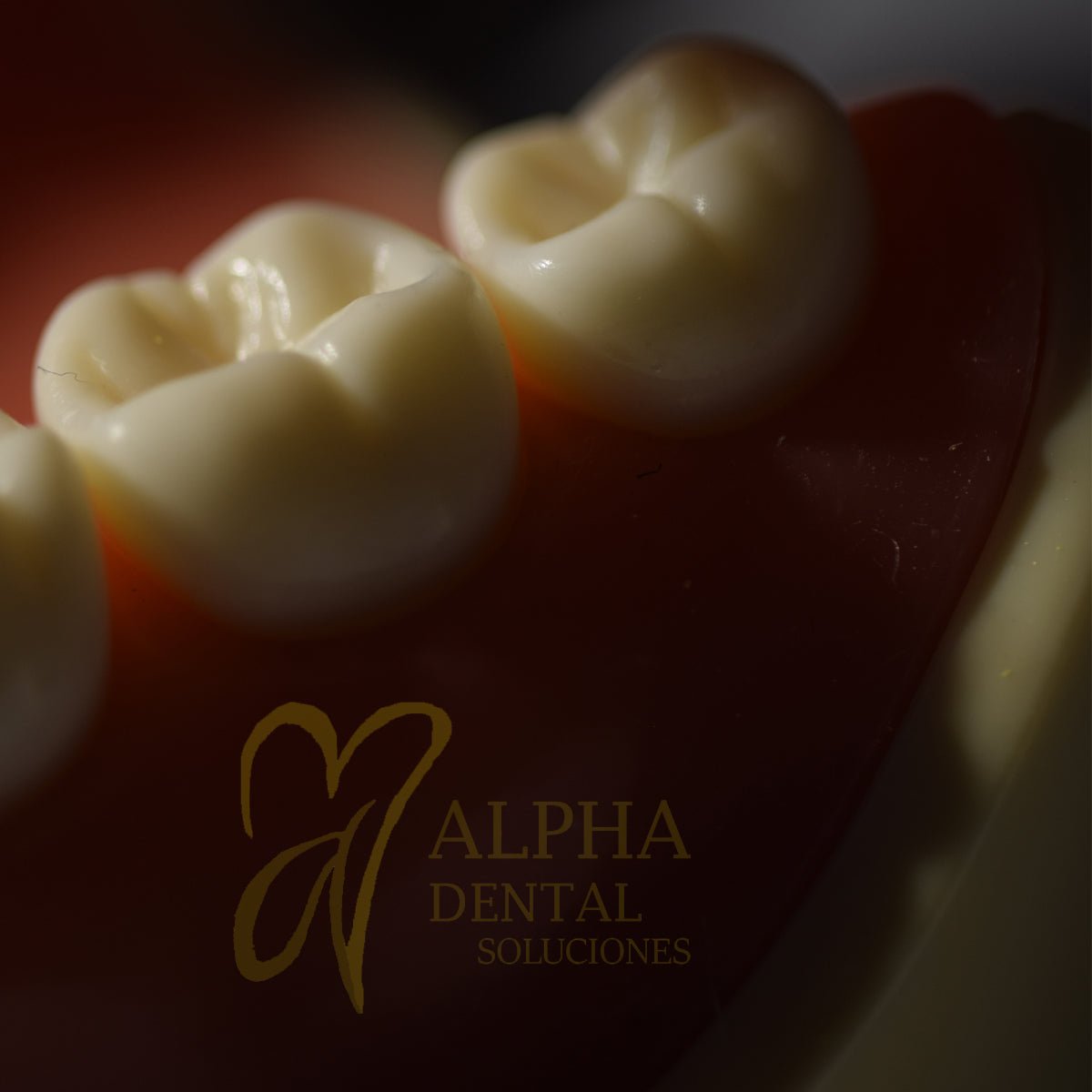 Dientes para Nissiin Set 32 pcs con tornillos - Alpha Dental Soluciones