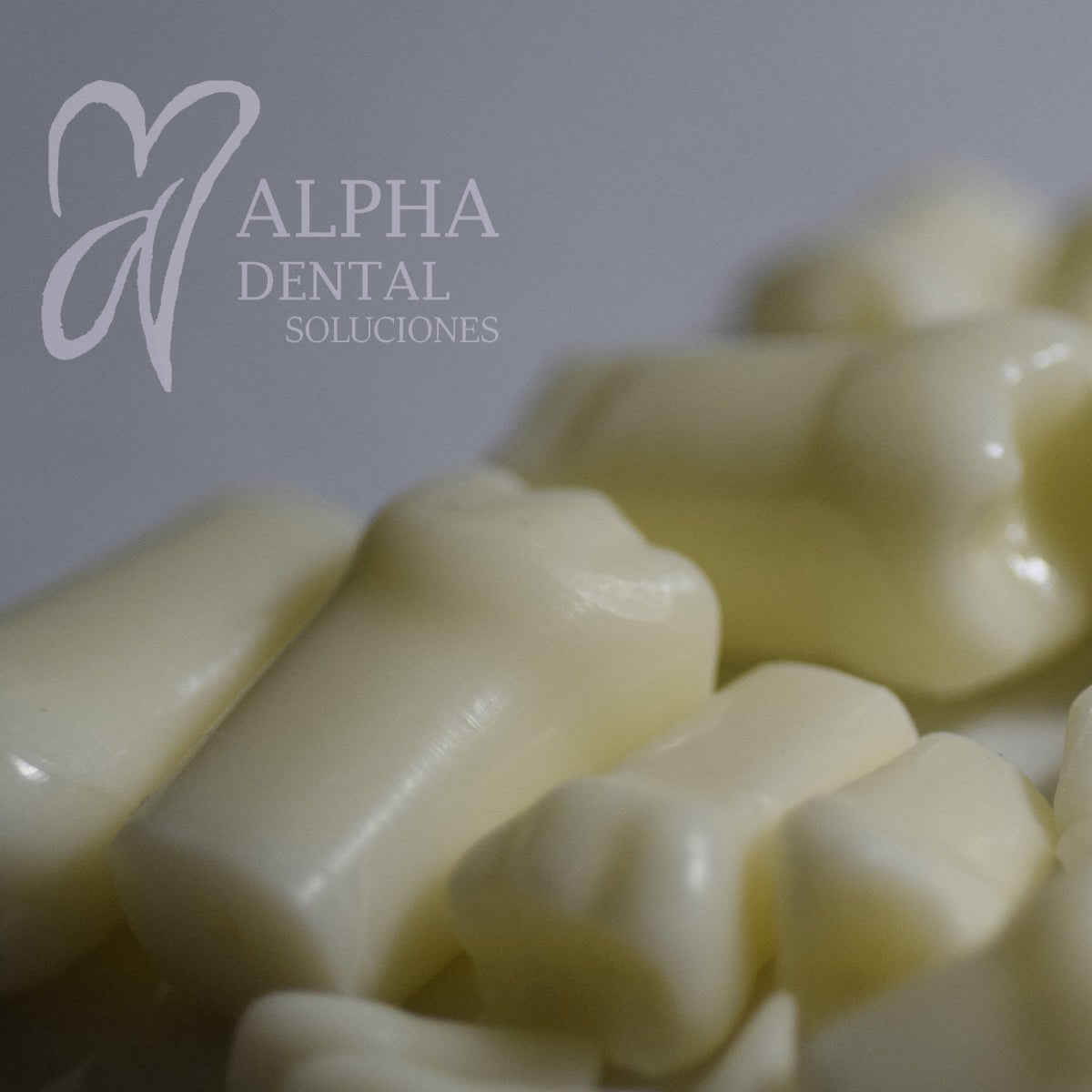 Dientes para Tipodonto Nissiin Infantil set T24 - Alpha Dental Soluciones