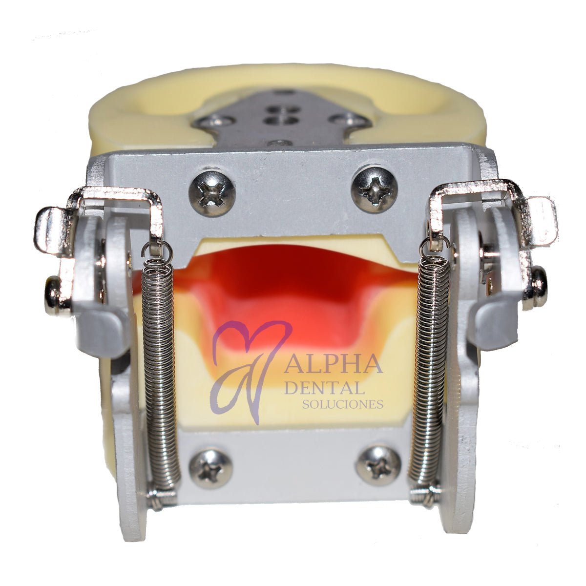 Tipodonto T24 Tipo Nissiin Infantil - Alpha Dental Soluciones