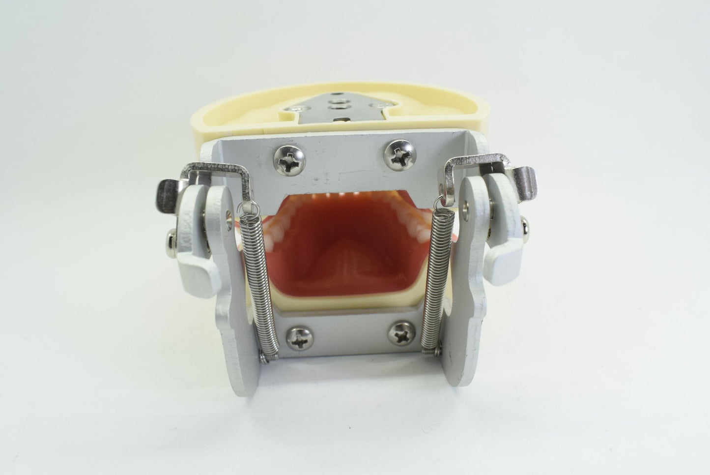 Tipodonto T32 Tipo Nissiin - Alpha Dental Soluciones